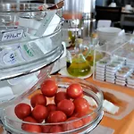 Готель Rvhotels Avenida Тоса-де-Мар